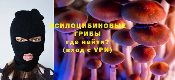 дживик Белоозёрский