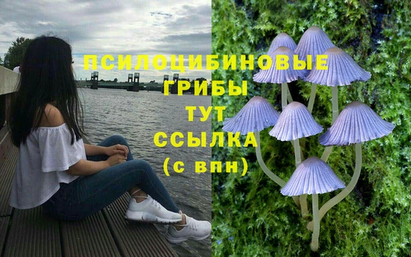 дистиллят марихуана Белокуриха