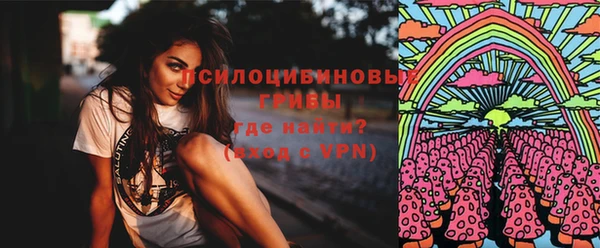 дживик Белоозёрский