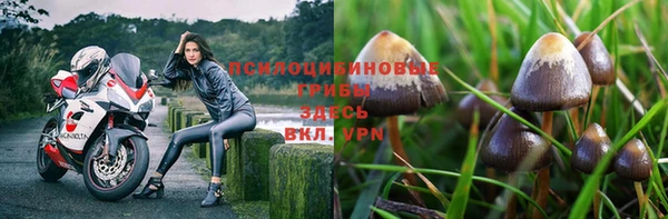 гидра Беломорск