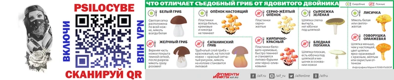 закладка Городище mega сайт Галлюциногенные грибы ЛСД
